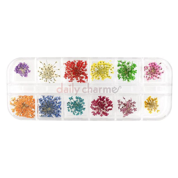 Daily Charme Pressed Dry Natural Flower Set / 12 Colors
