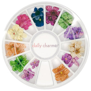 Daily Charme Pressed Dry Natural Petal Flower Wheel - 12 Colors