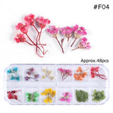 Full Beauty Dried Flower and Leaves Set / 12 color mixes